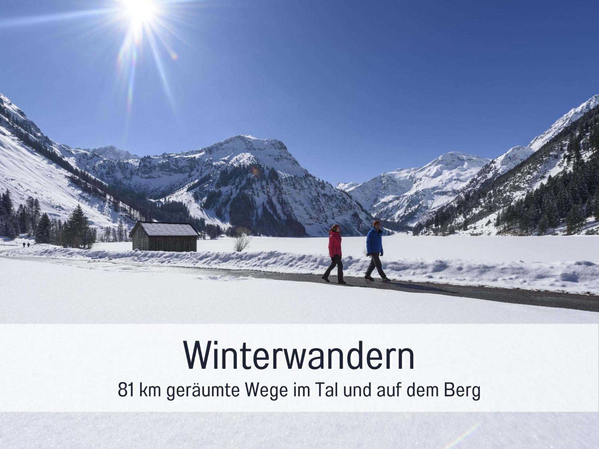 Apartments Tannheim - Bei Birgit Mariacher - Inklusive Sommerbergbahnen - Infrarotsauna & Broetchenservice - Zentral Mit Bergblick Екстериор снимка